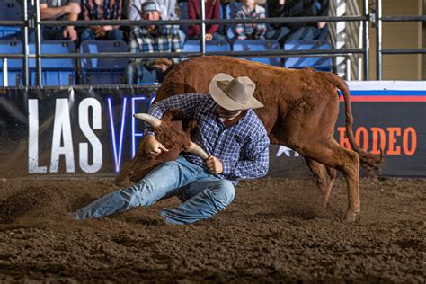 Minot To Host Badlands Circuit Finals Rodeo The Dakotan