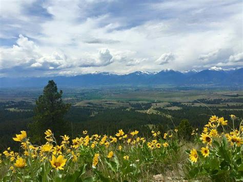 Bitterroot Valley | Montana homes, Favorite places, Montana