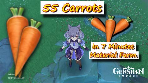 Carrots In Minutes Genshin Impact Material Farm Youtube