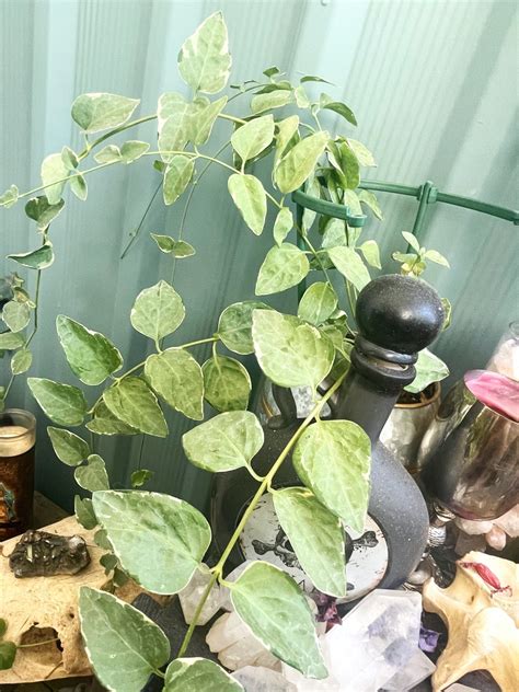 @urban-paradise on Tumblr