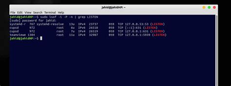 How To Check All The Open Ports In Your Linux System