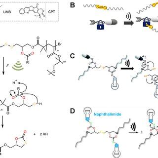 Representative examples of US‐controlled covalent bond scission for ...