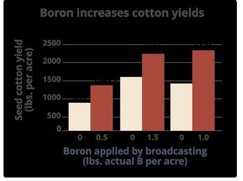 Boron Deficiency In Cotton Us Borax