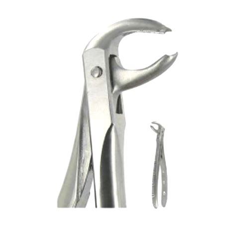 English Extraction Forceps Hawks Bill Lower Molars No