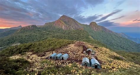 Cientistas descobrem novas espécies em montanhas isoladas da Amazônia