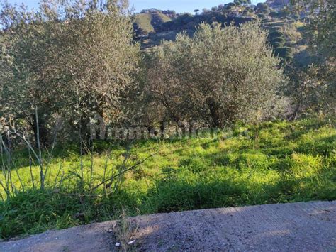 Terreno Agricolo Via Franco Castanea Messina Rif