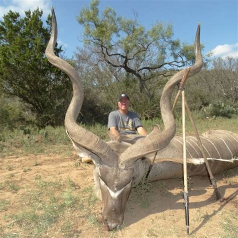 Kudu Hunts Star S Ranch