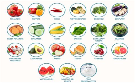 Deciphering the Causes of Salicylate Intolerance: A Comprehensive Guide ...