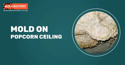 How To Get Rid Of Mold On Bathroom Popcorn Ceiling Artcomcrea