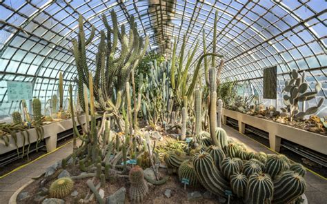 Au Jardin Des Serres DAuteuil Le Tour Du Monde En 1 Ville De Paris