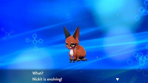 Pokemon Sword and Shield - How To Evolve Nickit Into Thievul | Attack ...