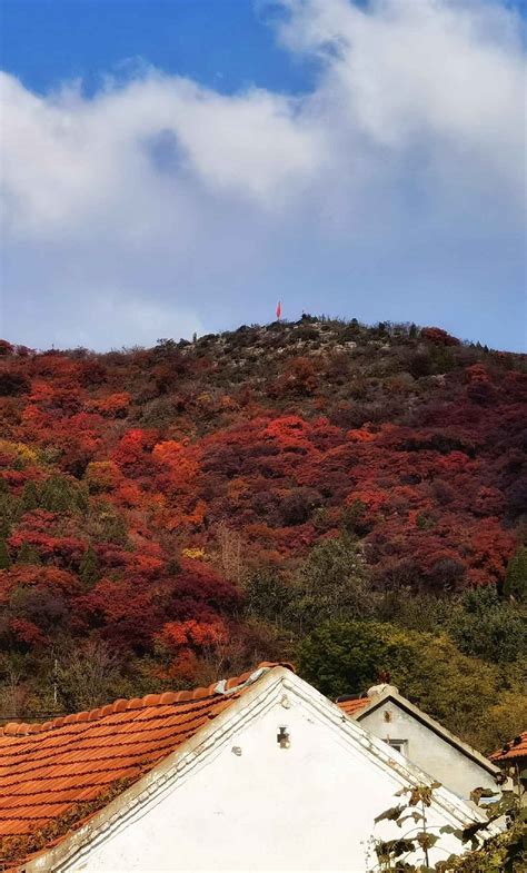 山村秋色 风景 颇可