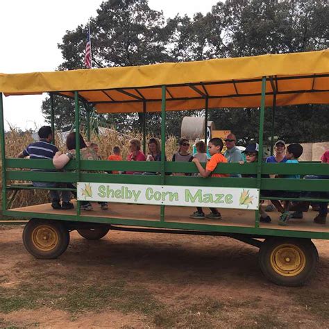 Hayrides - Shelby Corn Maze