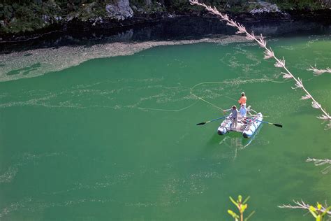 Chile Fly Fishing - Chile Patagonia Fly Fishing