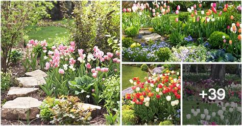 43 Shimmering Blooming Gardens with Tulips - Noudiv