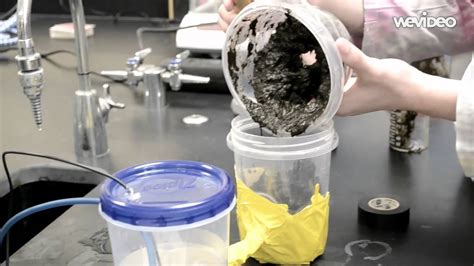 Creating A Microbial Fuel Cell Youtube