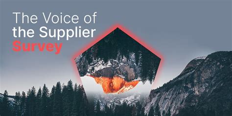 Infographic The Voice Of The Supplier Survey