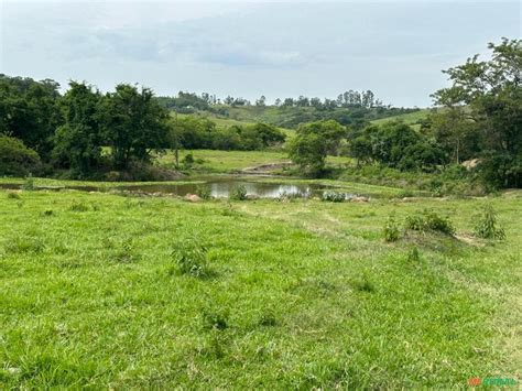 S Tio Alqueires Para Pecu Ria Em Porangaba Sp Venda