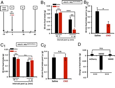 Figure From Appetite Suppressive Role Of Medial Septal Glutamatergic