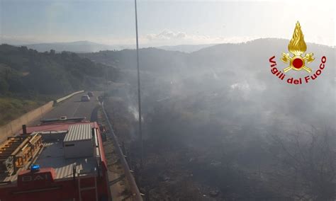 Vasto Incendio Nei Boschi Del Catanzarese Vigili Del Fuoco In Azione