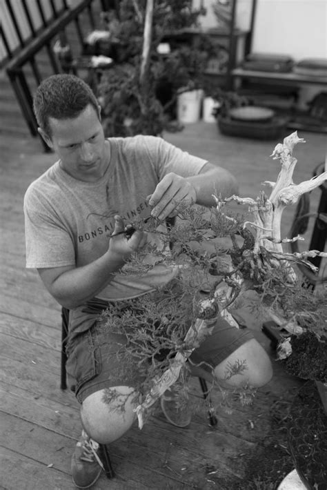 Bonsai Wiring Technique Bonsai Techniques Improve Yourself