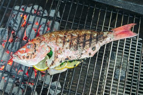 How To Cook Fish On The Grill Braincycle1