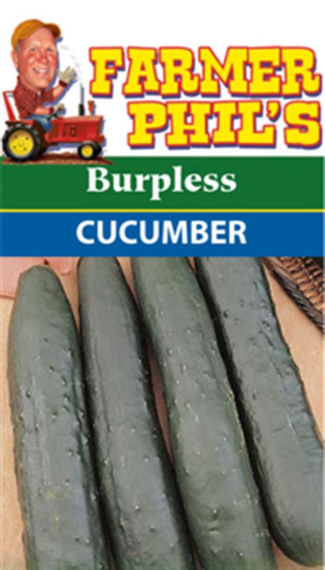 Burpless Cucumber - Farmer Phil's Vegetable Variety - Plant for Success