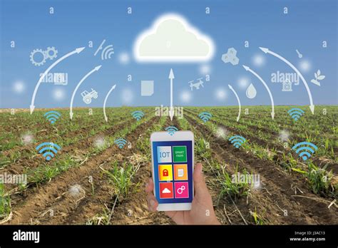 Iot Internet Of Things Agriculture Concept Smart Farming Industrial