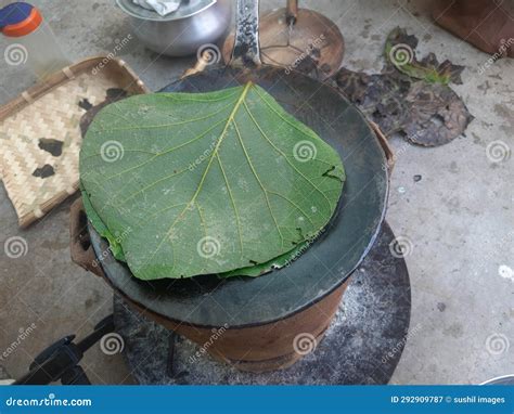 Miltop Ragi Flour and Made Capati with the Help of Green Leaf. Miltop Ragi Flour is Very ...