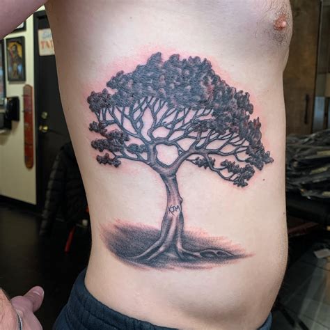 Koa Tree Under The Needle