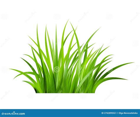 Realistic Green Grass Bushes Of Fresh Greens Spring Meadow Stock