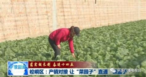 抓实链长制 奋进十四五 崆峒区：产销对接 让“菜园子”直通“菜篮子”澎湃号·政务澎湃新闻 The Paper