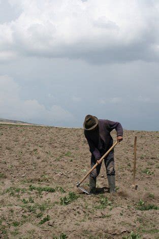 Minagricultura Lanz Pol Tica De Asistencia T Cnica Para Acelerar