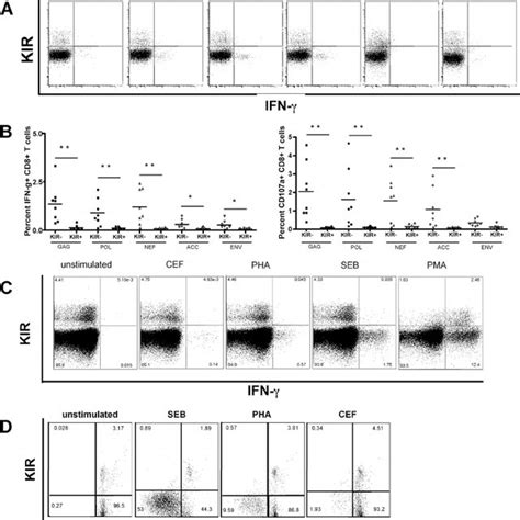 Kir Expression Results In Reduced Tcr Mediated Cd T Cell Activation