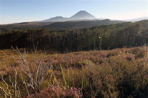 Tongariro Northern Circuit | The Wolff Chronicles