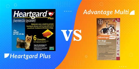 Heartgard Plus vs Advantage Multi: Which One is Best?