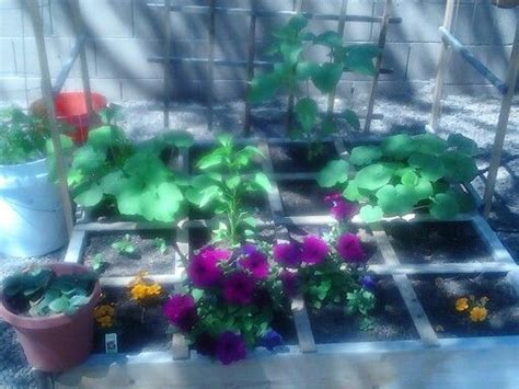 Inspire Me My Personal Square Foot Garden 4 2013 Square Foot Gardening Inspire Me Square Feet