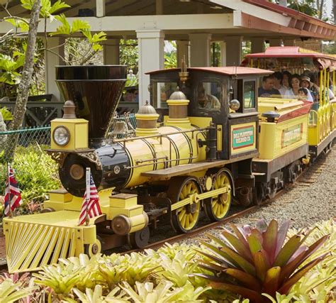 Dole Plantation Express Train Ride | Pineapple Plantation