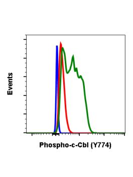 Phospho C Cbl Y Recombinant Mab Abwiz Bio