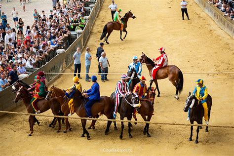 Provaccia Del Palio Di Luglio La Gallery Radiosienatv