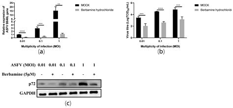 Molecules Free Full Text Berbamine Hydrochloride Inhibits African