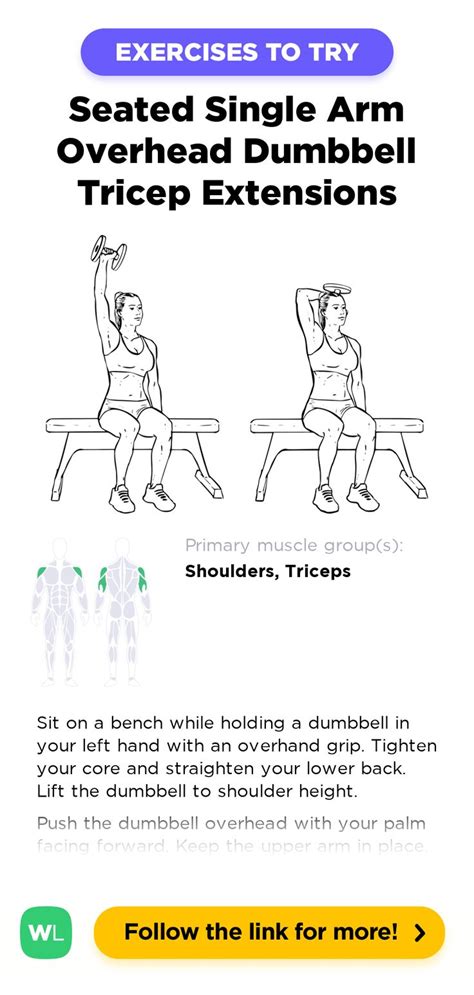 Seated Single One Arm Overhead Dumbbell Tricep Extensions