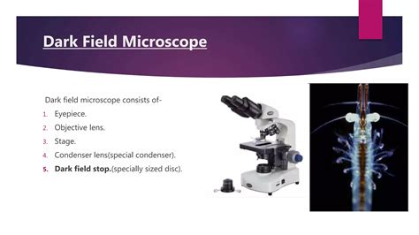 Dark Field Microscopy Ppt