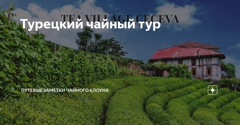 Турецкий чайный тур | Путевые заметки чайного клоуна | Дзен