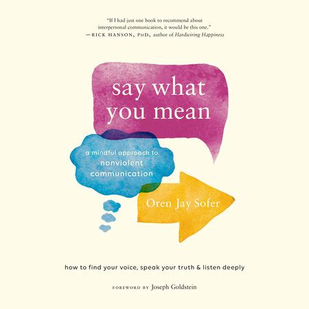 Say What You Mean by Oren Jay Sofer | Penguin Random House Audio