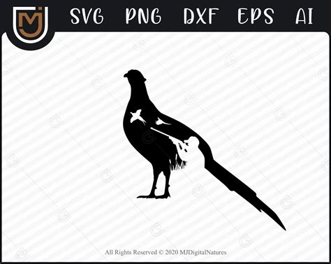 Pheasant Silhouette Vector