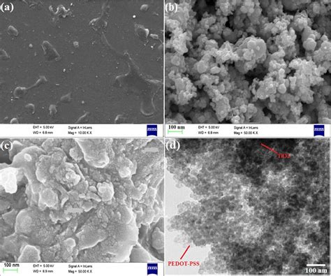 SEM Micrographs Of A PEDOTPSS B TiO2 C PEDOTPSS TiO2 And D TEM