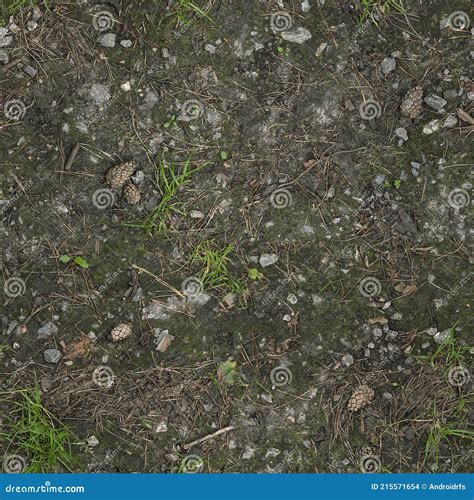 Seamless Forest Gravel Ground Texture Stock Photo Image Of Grass