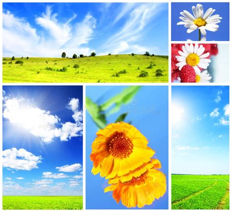 Spring Collage Stock Photo Image Of Colorful Nature 19436782