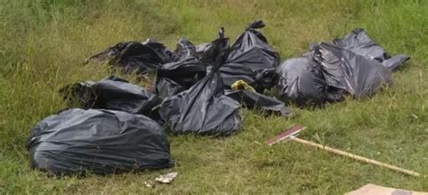 Hallan 17 Bolsas Con Restos Humanos En Una Carretera Cerca De La